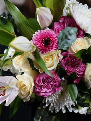 Browse custom arrangements, high-end gifts, and unique house plants. Crafted by experienced floral artists for any occasion.
